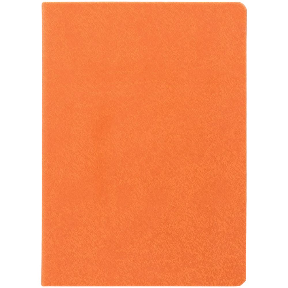 Ежедневник Basis, датированный, оранжевый