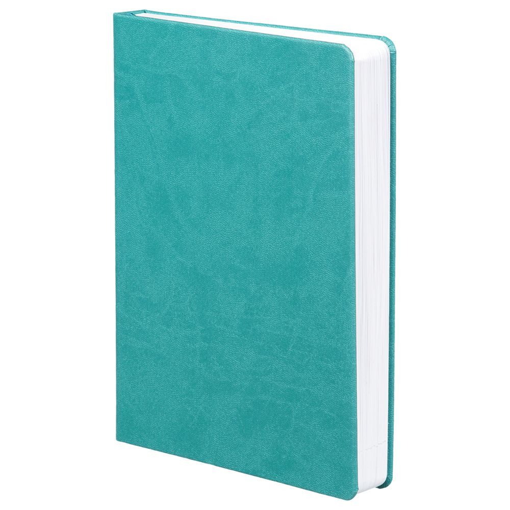 Ежедневник Basis, датированный, черный