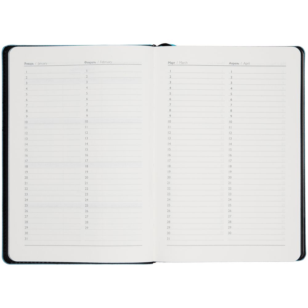 Ежедневник Alanis, недатированный, черный c голубым