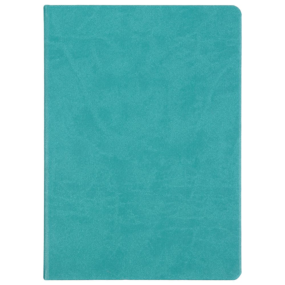 Ежедневник Basis, датированный, черный