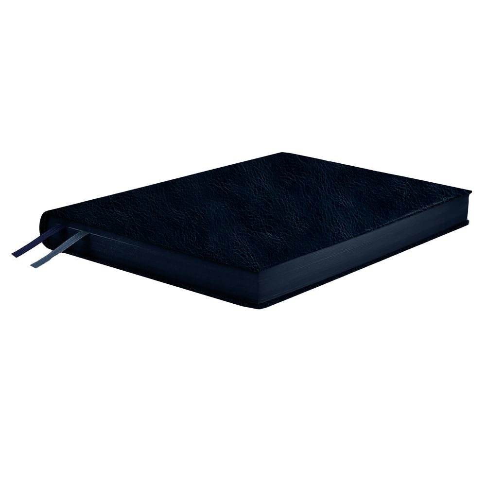 Ежедневник Merida, датированный, черный