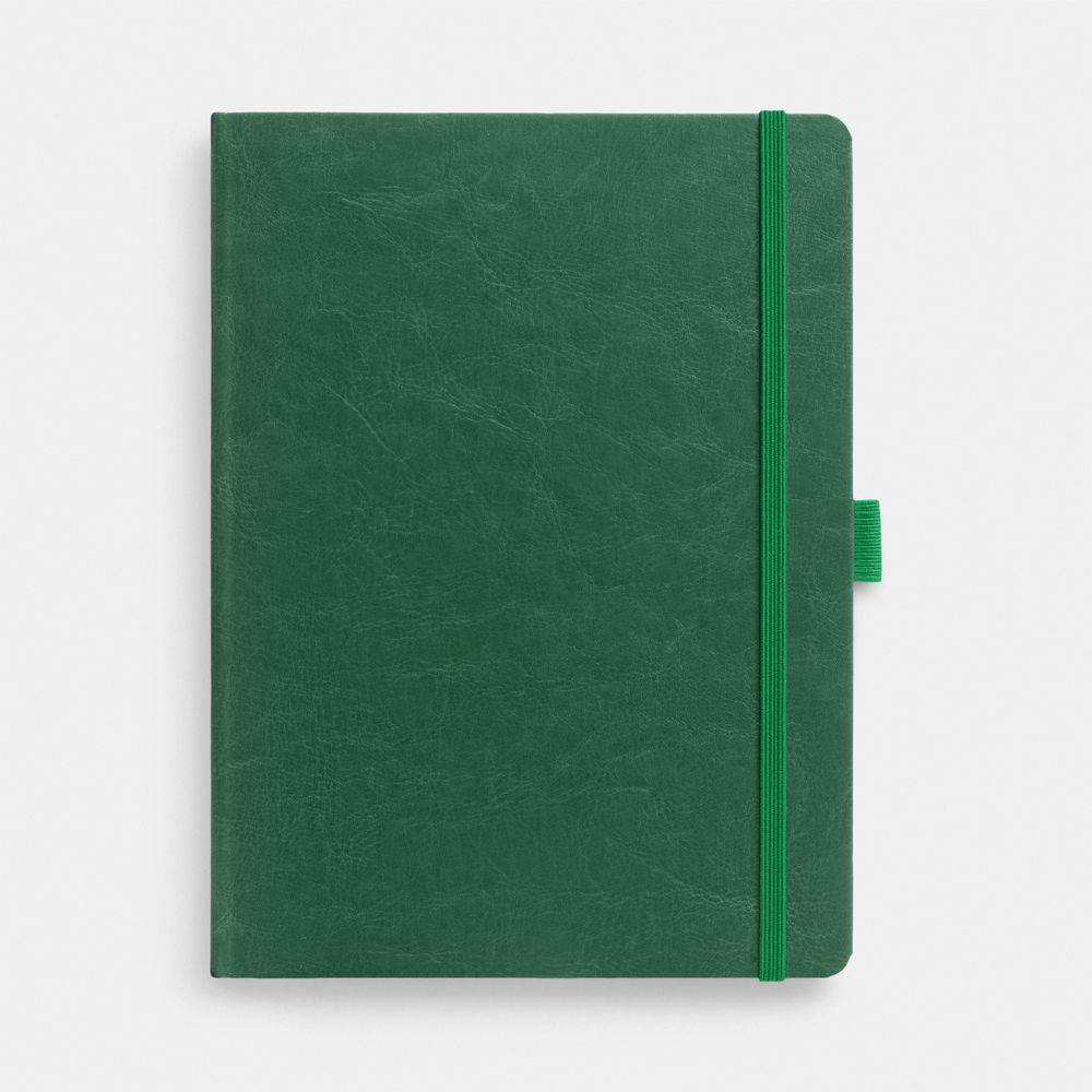 Еженедельник Lucky, недатированный, зеленый