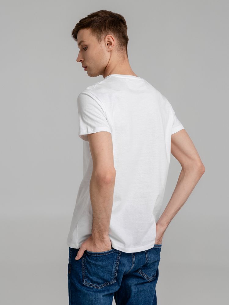 Футболка мужская Regent Fit 150, коричневая (терракотовая)