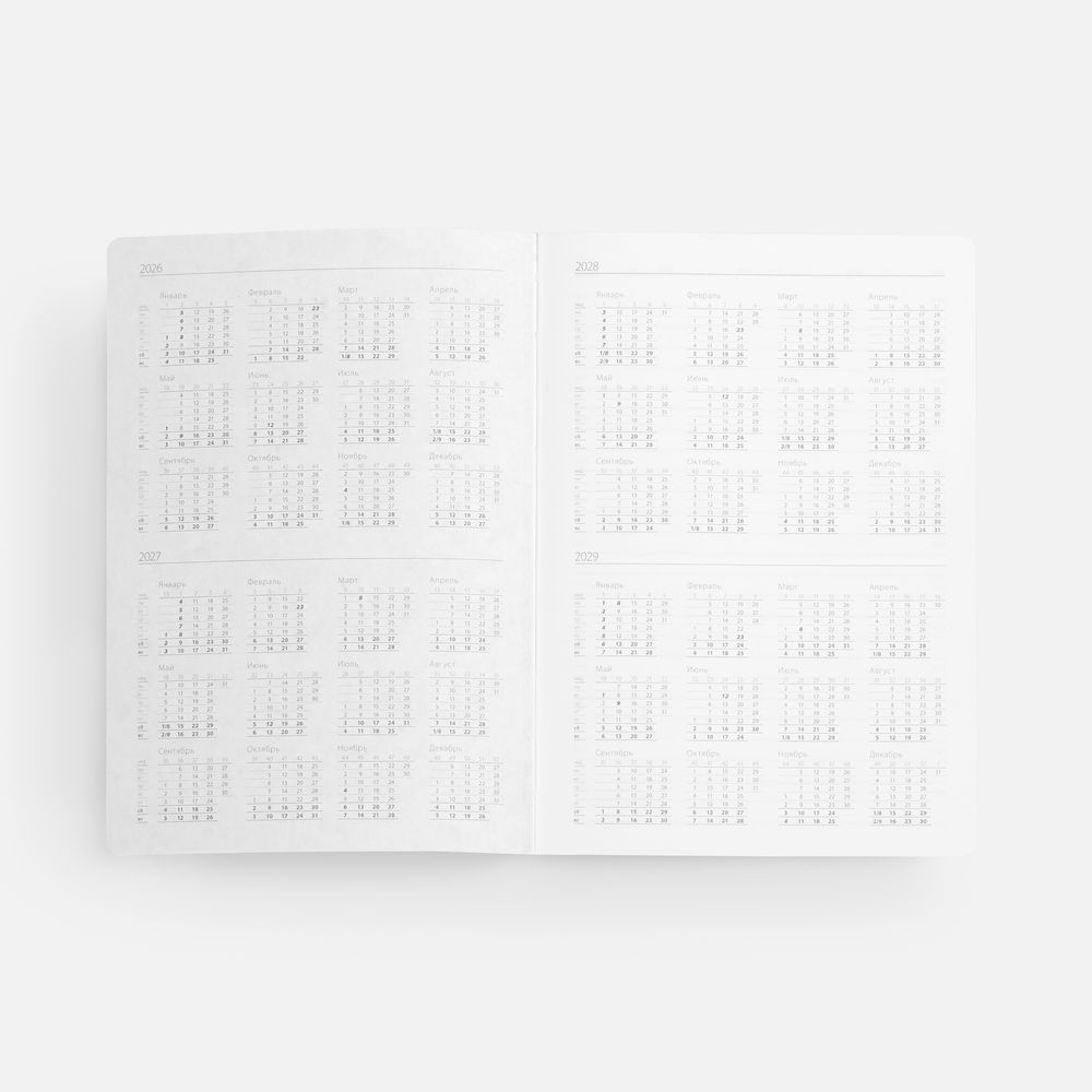 Ежедневник Flexpen, недатированный, серебристо-красный