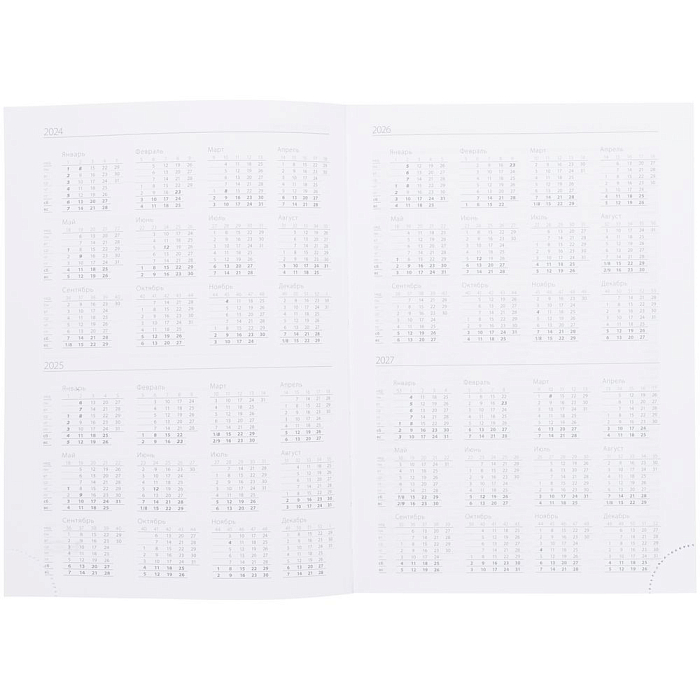 Ежедневник Vivian Metal, недатированный, голубой