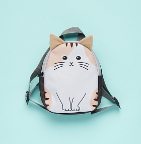 Набор #110 Рюкзак котик (малый)